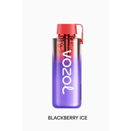 Vozol Neon 10000 Puff