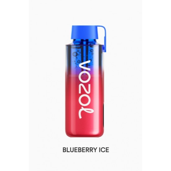 Vozol Neon 10000 Puff