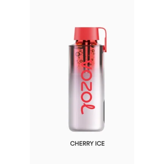 Vozol Neon 10000 Puff