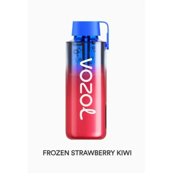 Vozol Neon 10000 Puff