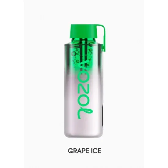 Vozol Neon 10000 Puff