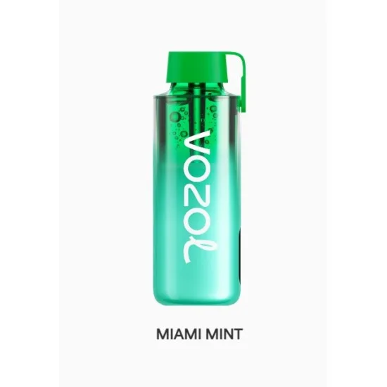 Vozol Neon 10000 Puff