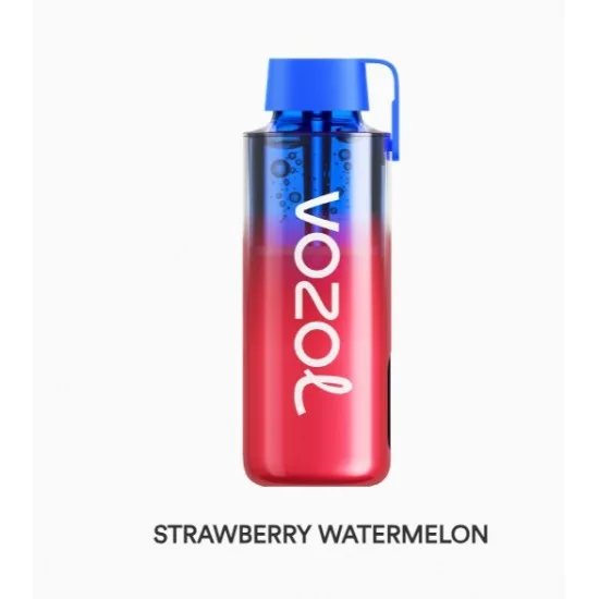 Vozol Neon 10000 Puff