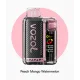 Vozol Vista 20000 Puff