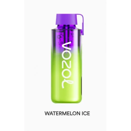 Vozol Neon 10000 Puff